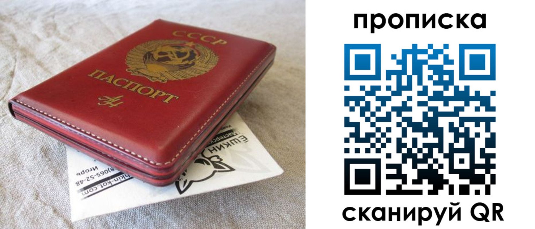 прописка для школы в Гусь-Хрустальном